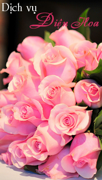 Banner 3