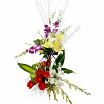 Hoa chúc mừng 9