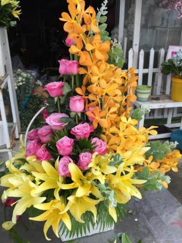 Hoa văn phòng 012